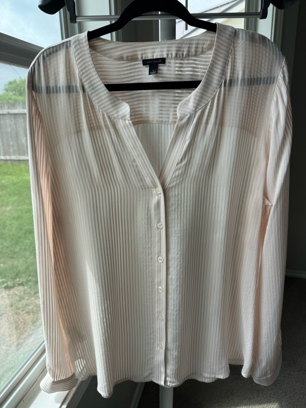 Ann Taylor Pale Blush Sheer Button-Front Blouse SZ-L